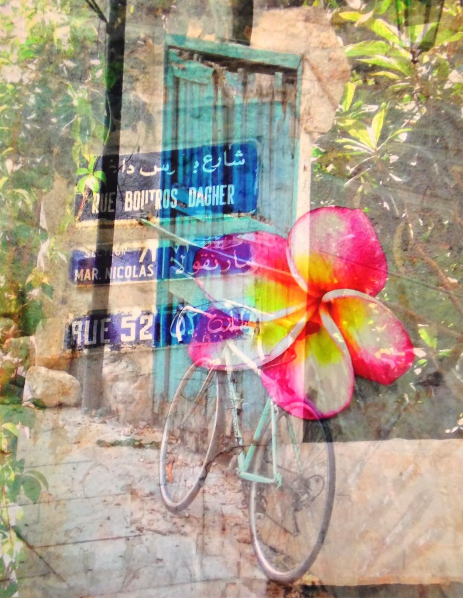 Charlotta Sparre tweet media