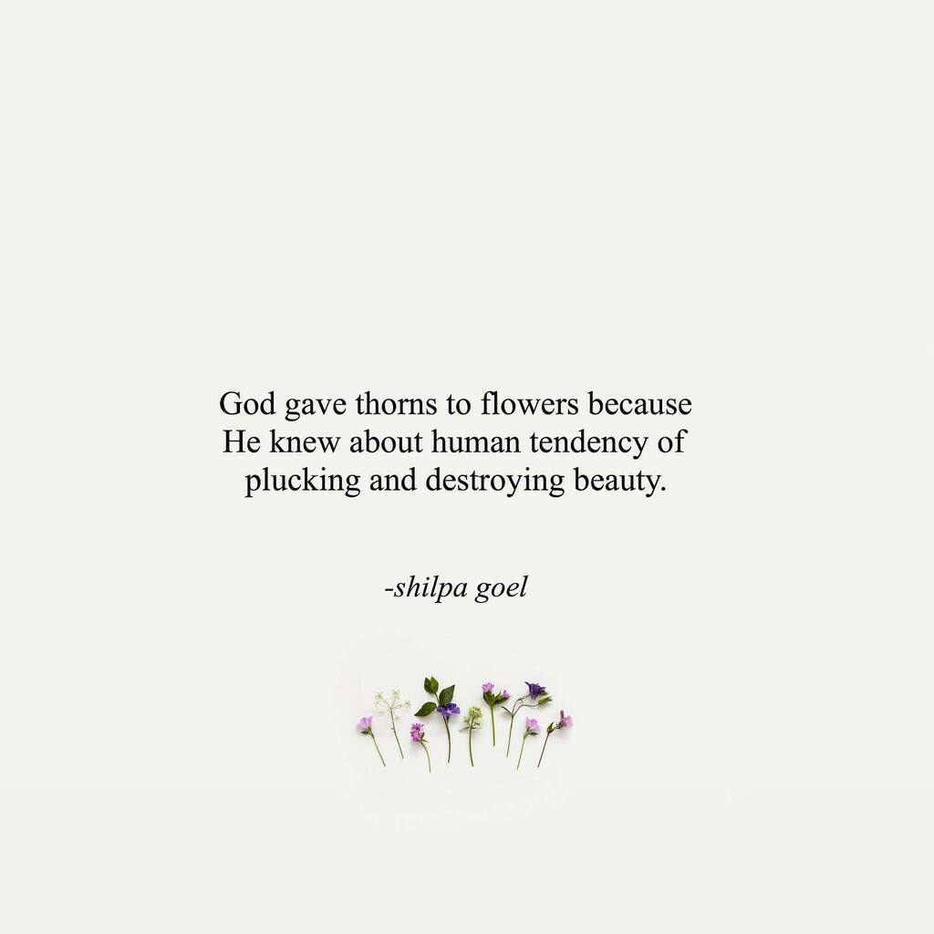 meetlife240's tweet photo. As Khalil Gibran said, “people ruin beautiful things.”
.
.
Follow @meetlife240 for more ♥️
.
.
God gave thorns to flowers because
He knew about human tendency of
plucking and destroying beauty.
-Shilpa Goel
.
.
.
.

.⁣
.⁣
.⁣
.⁣
#spilledink #poemsof… https://t.co/8N6hDZrbdf https://t.co/uSlOeNERWe