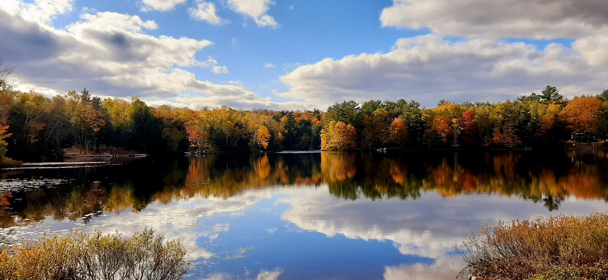 EAVGuchte's tweet photo. With so much noise in the world, getting into nature is not just a gift, but a necessity. 

Sharing a recent view of mine, along w/a nudge to you for catching some fresh air &amp; beautiful fall colors to ease the mind.
Step out &amp; breathe in the goodness. 
#Wisconsin #autumnvibes https://t.co/dRF7KTh7TG