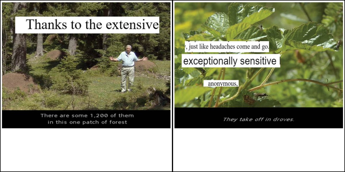 ZINE: Am I hearing the Hum or some other sound?

(The Hum is a name often given to widespread reports of a persistent and invasive low-frequency humming, rumbling, or droning noise not audible to all people. )

read here: https://t.co/CR2jfvJyll 