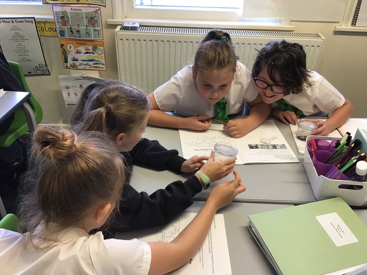 LindenRDAsh's tweet photo. @LindenRDAsh #LindenScience #invertebrates #classificationkeys #wearescientists
Using a classification key and scientific evidence to identify our invertebrates ( none of which were harmed in this lesson). https://t.co/sHinleFlVX