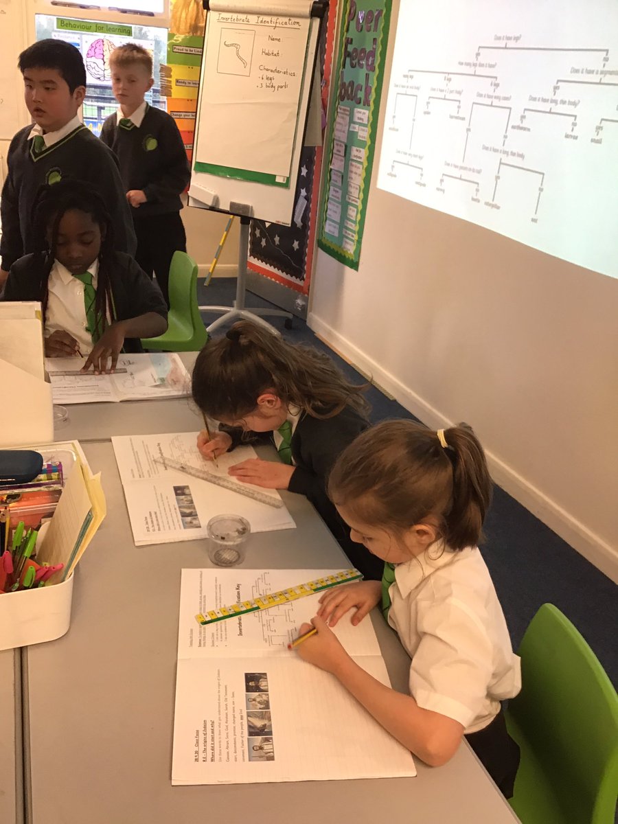 LindenRDAsh's tweet photo. @LindenRDAsh #LindenScience #invertebrates #classificationkeys #wearescientists
Using a classification key and scientific evidence to identify our invertebrates ( none of which were harmed in this lesson). https://t.co/sHinleFlVX