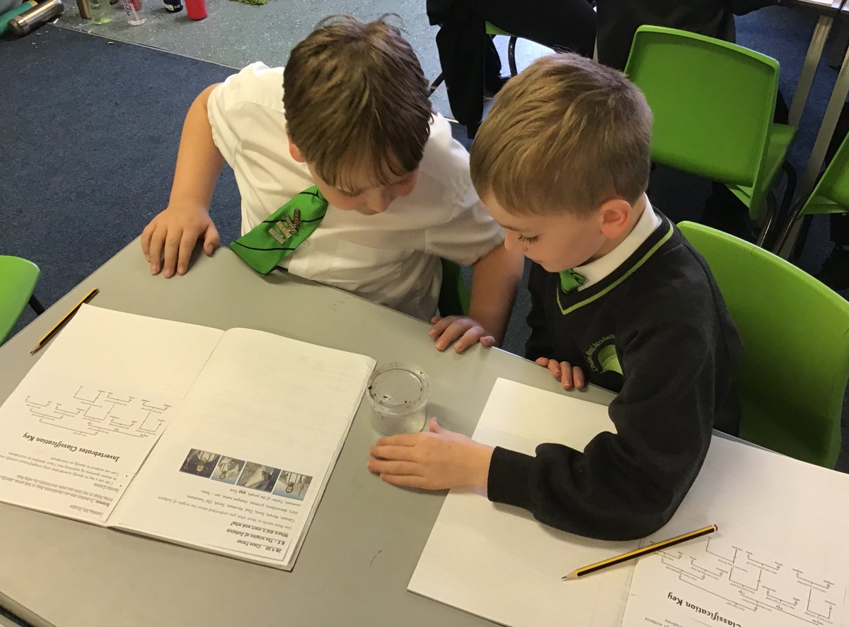 LindenRDAsh's tweet photo. @LindenRDAsh #LindenScience #invertebrates #classificationkeys #wearescientists
Using a classification key and scientific evidence to identify our invertebrates ( none of which were harmed in this lesson). https://t.co/sHinleFlVX