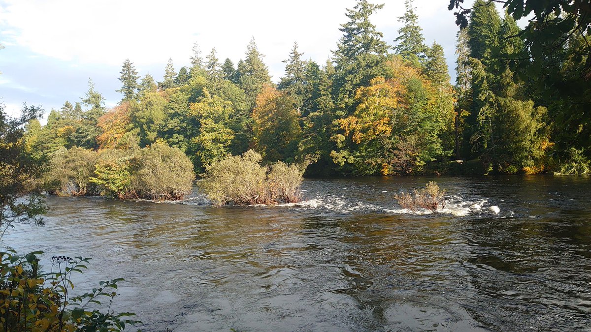 InverOutlanders's tweet photo. Autumn colours on display on a walk along the river today.
 A location on our Outlander Map of Inverness &amp; our Audio Tour on the @geo_tourist App #RiverNess #NessWalk #Inverness #HameTownTourist #Outlander https://t.co/5km8JPOuSO