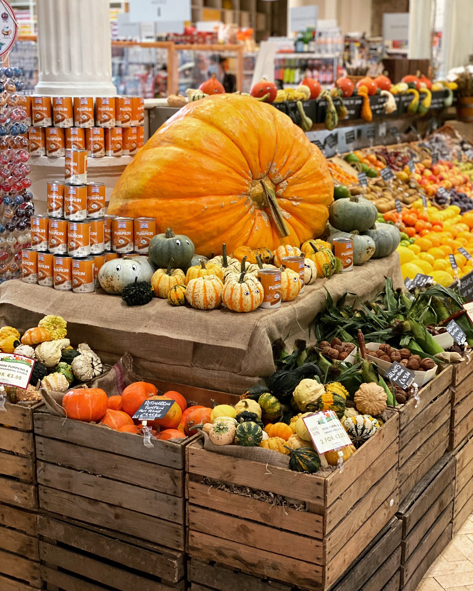 Pumpkin Patch Fallon Shop innoem.eng.psu.ac.th