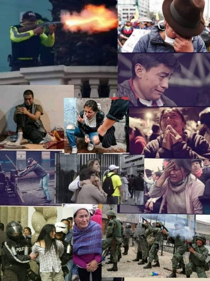 1218cse's tweet photo. @mariapaularomo Esa es tu supuesta verdad!! Acá está la realidad de todo lo q paso y los omicidios que causaste, #ElPeorGobiernoDeLaHistoria #RomoAsesina #Octubre2019NadieMeLoConto https://t.co/zeqLvfObkx