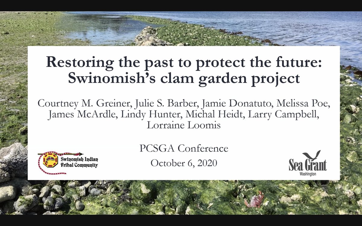 msmollusc's tweet photo. C. Greiner: Ancient clam gardens are 3-4k y old! #Swinomish are selecting an appropriate site for a modern day clam garden. Spatial exclusion map > Diverse advisory board > Intertidal surveys > Site ranking > Community input. Transboundary/generational. INSPIRING!
#shellfish74 https://t.co/mymF5X76DK