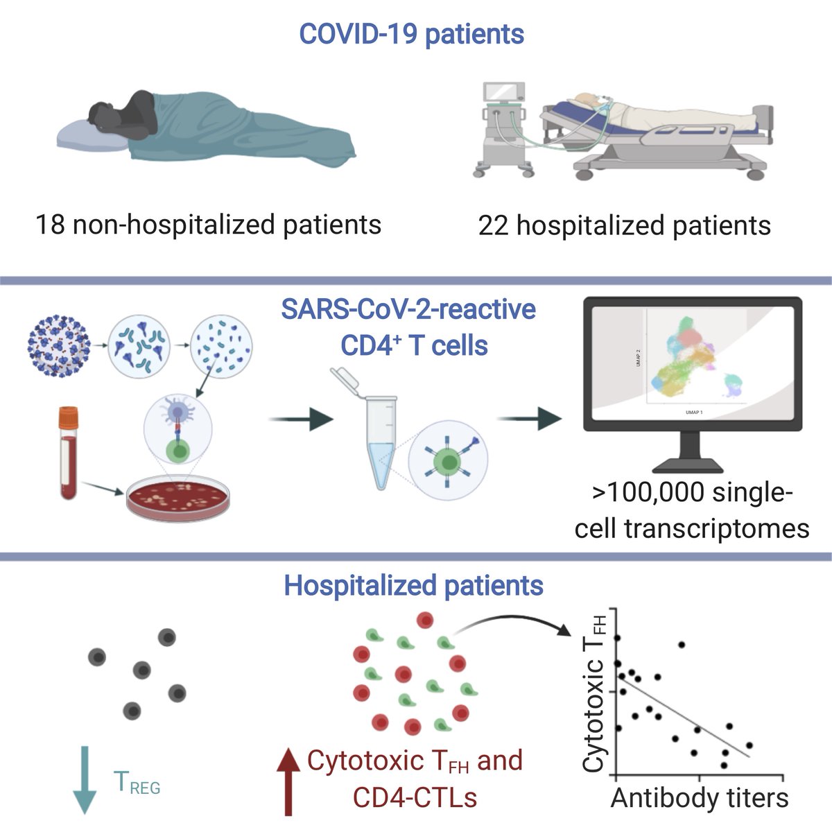 Cell (@cellcellpress) on Twitter photo Now Online! #Analyses from 40 #COVID19 #patients show that severe #disease is associated with #cytotoxic follicular helper cells and T-helper cells. 👉 bit.ly/33yeIX8
For all <a href="/CellPressNews/">Cell Press</a> #coronavirus research and commentary, visit cell.com/2019-nCOV
#SARSCoV2 Now Online! #Analyses from 40 #COVID19 #patients show that severe #disease is associated with #cytotoxic follicular helper cells and T-helper cells. 👉 bit.ly/33yeIX8
For all <a href="/CellPressNews/">Cell Press</a> #coronavirus research and commentary, visit cell.com/2019-nCOV
#SARSCoV2