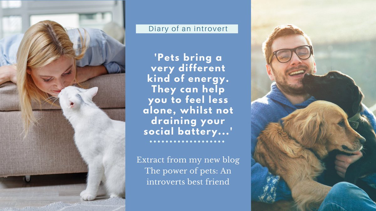 IntrovertBlogs's tweet image. 'As an #introvert, being around people can be draining. Where as being around my #cat has a very calming and tranquil effect on me (when he's not biting my ankles, granted!)'
Check out my new #blog, The power of pets: An introverts best friend here: bit.ly/34omZvK