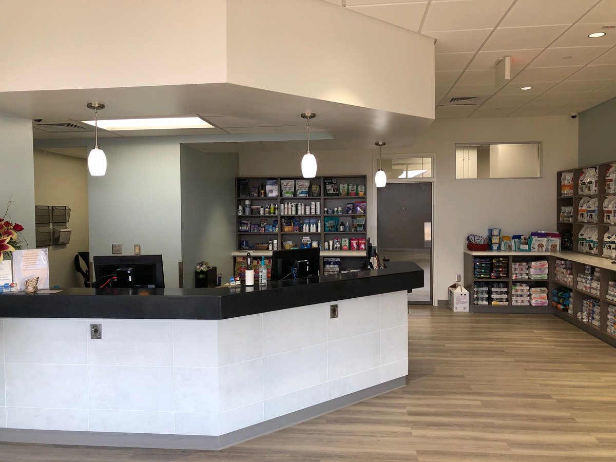 GroupSeaton's tweet photo. Seaton Construction Group has been putting the final touches on our remodel project at All Creatures Veterinary Hospital. The project required a great deal of coordination with subs and the Owner, as there were many furnished items that came over from the existing building. https://t.co/8sNMlyUnPL