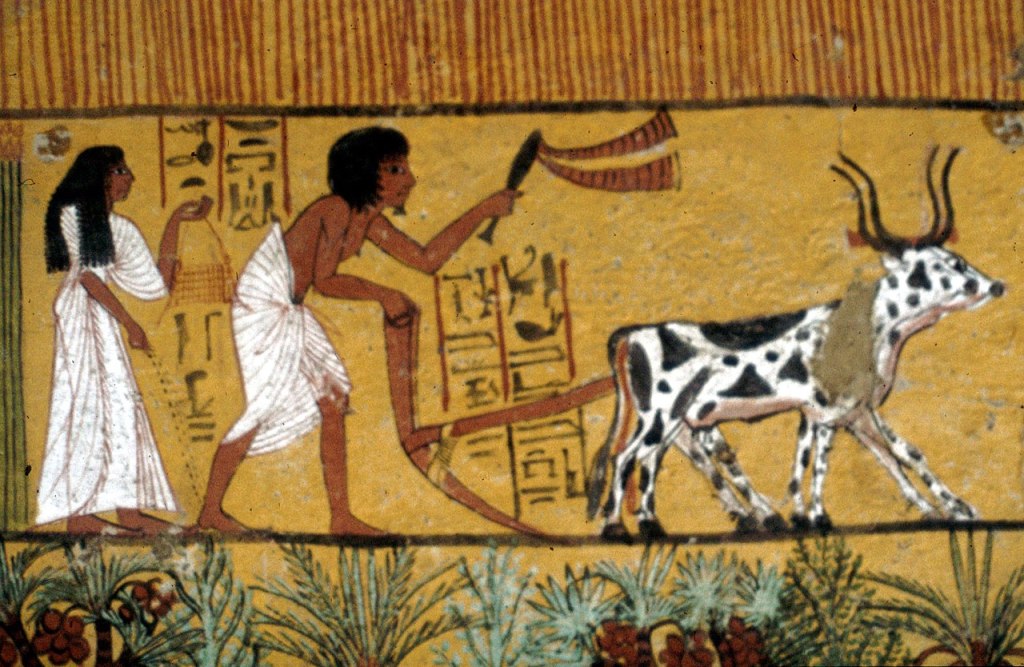 Or like this one seen carried by the sower walking behind the plow on this Egyptian mural.