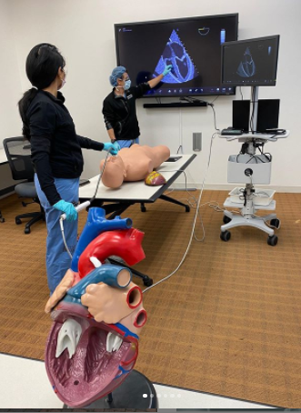 AbaPhysicians's tweet photo. It’s a training #TagUsTuesday - Thanks to @ResidencyTemple for sharing how their residents are being taught how to diagnose cardiopulmonary conditions with TEE. #Anesthesiology #Residents https://t.co/pmLq8J2dXt