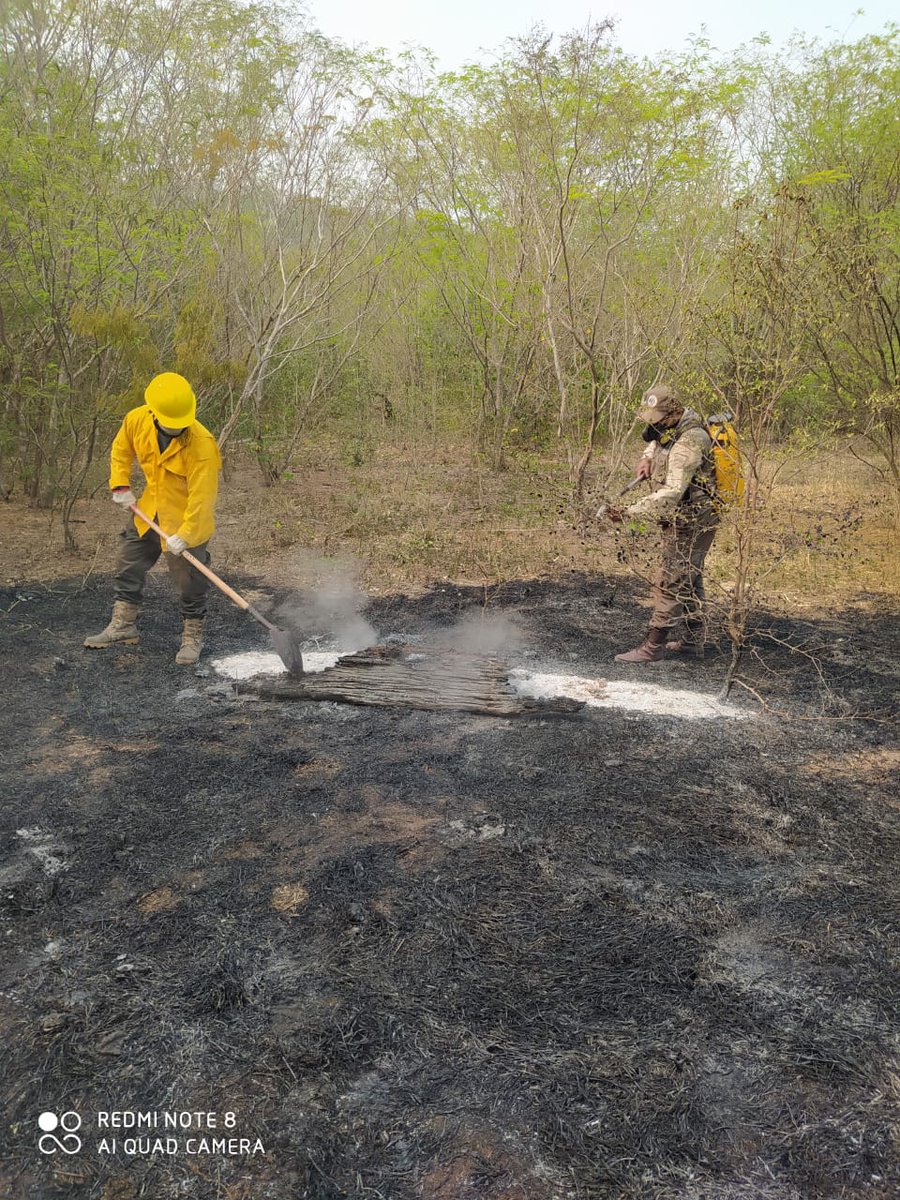 SERNAP: “Prevenir incendios forestales es tarea de todos”

Lee más en : bit.ly/3d7fYUf
#MMAyA #SERNAP #áreasprotegidas