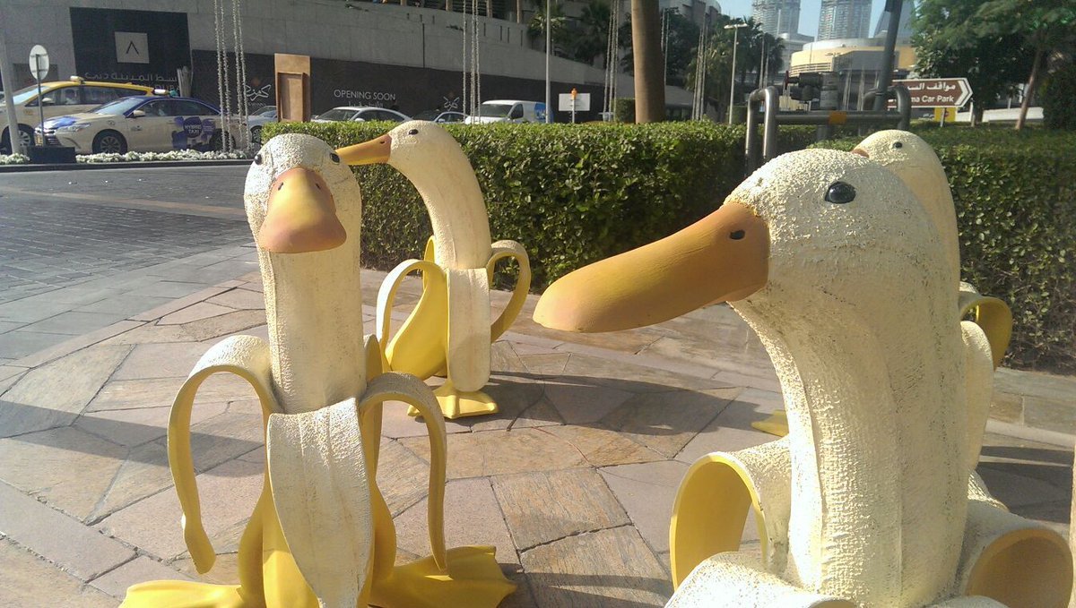 I'm not normally hugely paranoid but I have been alerted to the existence of the duck banana.