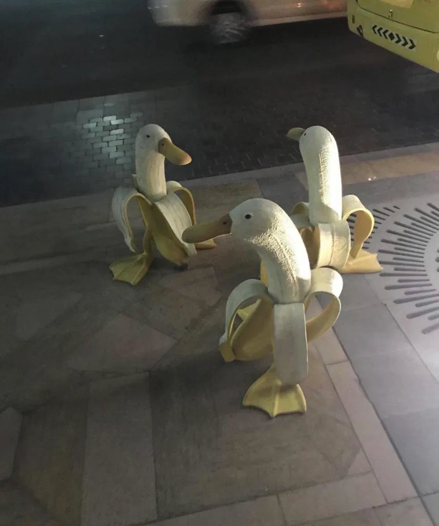 I'm not normally hugely paranoid but I have been alerted to the existence of the duck banana.