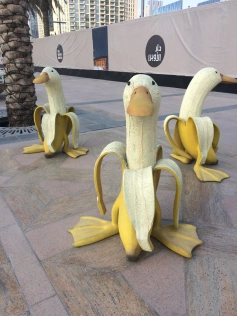 I'm not normally hugely paranoid but I have been alerted to the existence of the duck banana.