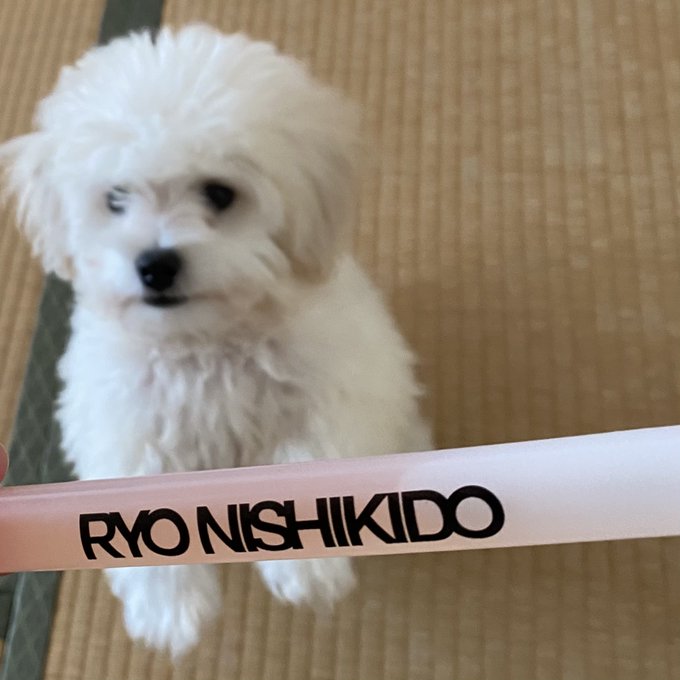 錦戸亮 の人気がまとめてわかる 評価や評判 感想などを1時間ごとに紹介 ついラン