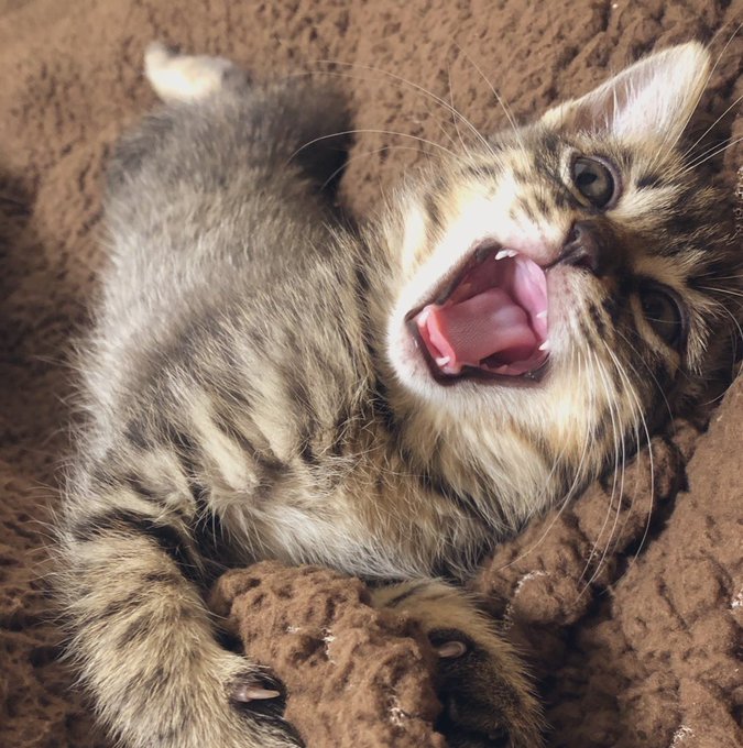 数ヶ月でめっちゃ変わるやん🙀 