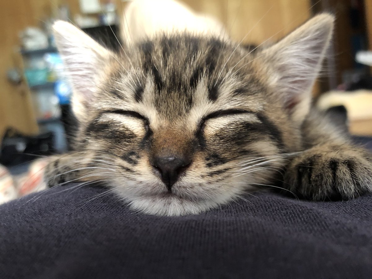 数ヶ月でめっちゃ変わるやん🙀 