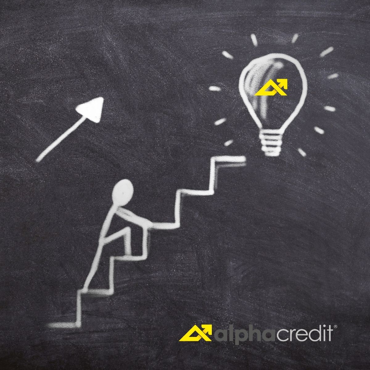 La innovación en nuestras herramientas financieras nos han posicionado como una de las empresas con mayor crecimiento en Latinoamérica.