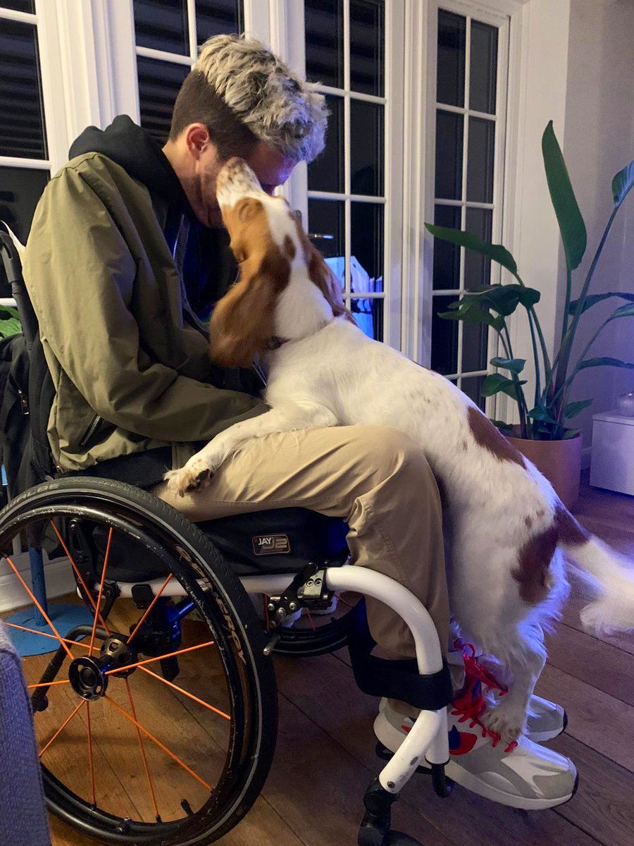 Henry Fraser tweet media