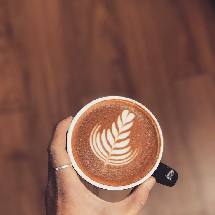 meyercoffee_'s tweet image. ㅤ੭ Pᧉdido: Brownies + Capuccino
ㅤ› dᧉ: 🐻
ㅤ› pɑrɑ: @SWIMGOTH 

﹢ׄ🗒𓂃 Eu não disse que iria te mimar? Pois bem, se alimente direitinho, você merece. ♥️