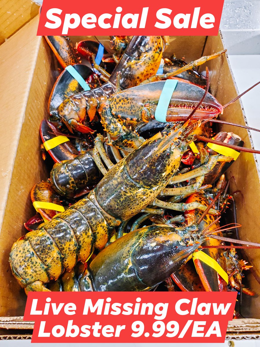 💥Today's Special 💥
Tukwila store: (206) 800-7840
Seattle store: (206) 720-0969

lamseafood.com
Seattle store: 1221 S.King St. Seattle, WA 98144
Tukwila store: 243 Minkler Boulevard Tukwila, WA 98188