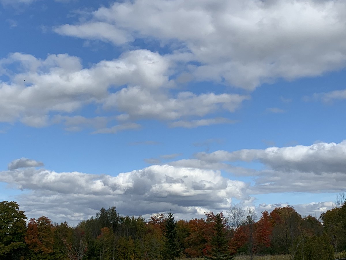 stmThunderReads's tweet image. #LibraryViews #Comeandsee #FallIntoAGoodBook🍁 @stmikesbolton