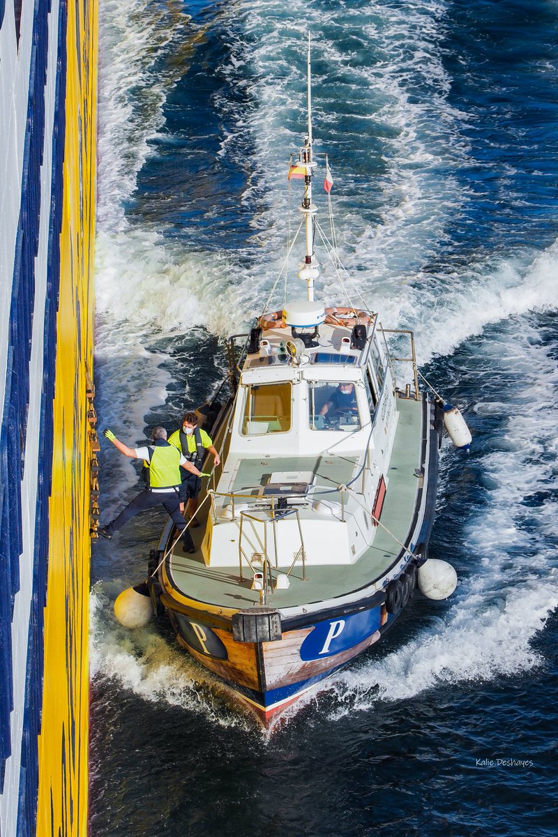KalieDeshayes's tweet photo. Alcudia Pilot ⚓
Débarque du Pilote Mega Express
#AlcudiaPilot #Practicosdepuerto #PortdAlcudia #Mallorca #maritimepilot ⚓ #MegaExpress #CorsicaFerries https://t.co/KQU0l3Xkgf