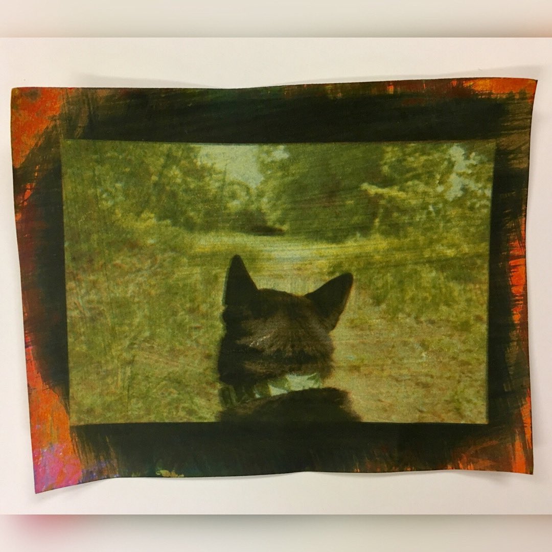 JacquardProduct's tweet photo. @hellcat_maggie85’s students are making CMYK #SolarFast prints. This means making four successive exposures on the same piece of paper. It is an involved process, but well worth it! There is just something so intriguing about the quality of these images, isn’t there? ✨✨ https://t.co/shtnhZqIBk