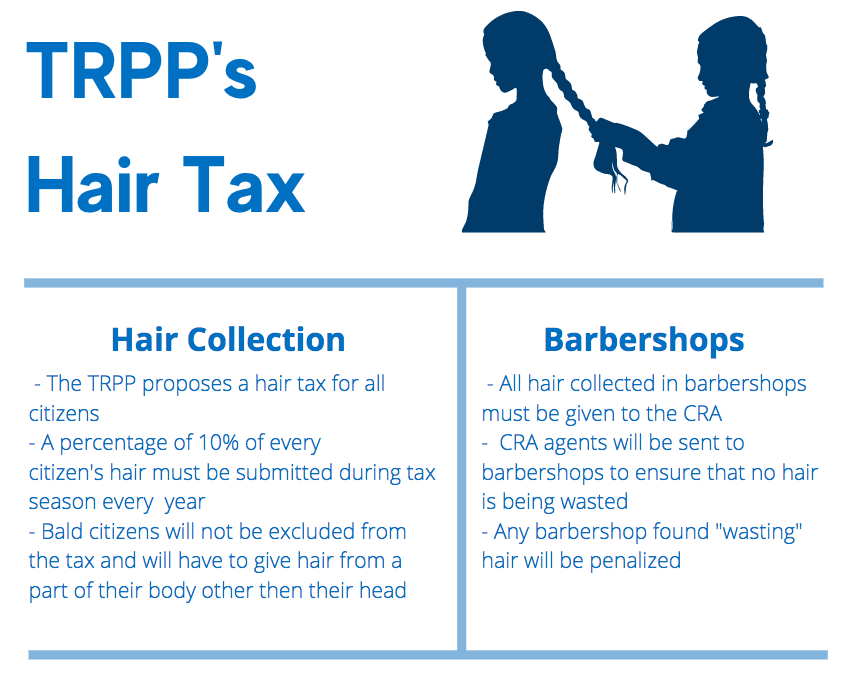 TRPUZ_MPSP's tweet image. We are proud to introduce our proposed Hair Tax! // Nous sommes fières d'introduire notre taxe sur les cheveux!