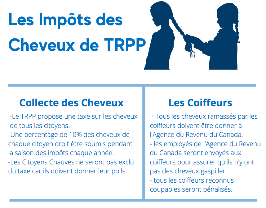 TRPUZ_MPSP's tweet image. We are proud to introduce our proposed Hair Tax! // Nous sommes fières d'introduire notre taxe sur les cheveux!
