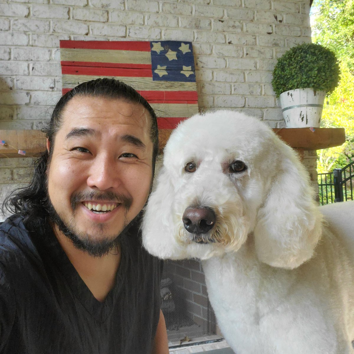 groomer_jun's tweet photo. #Poodle #FunFact 
 "This is a truly old breed. The age of this dog numbers thousands of years. Its pictures can be found on the Egyptian and Roman pieces of art which were created in the first century B.C." #ancientbreed #ilovepoodles https://t.co/sS1Wvn09Hf