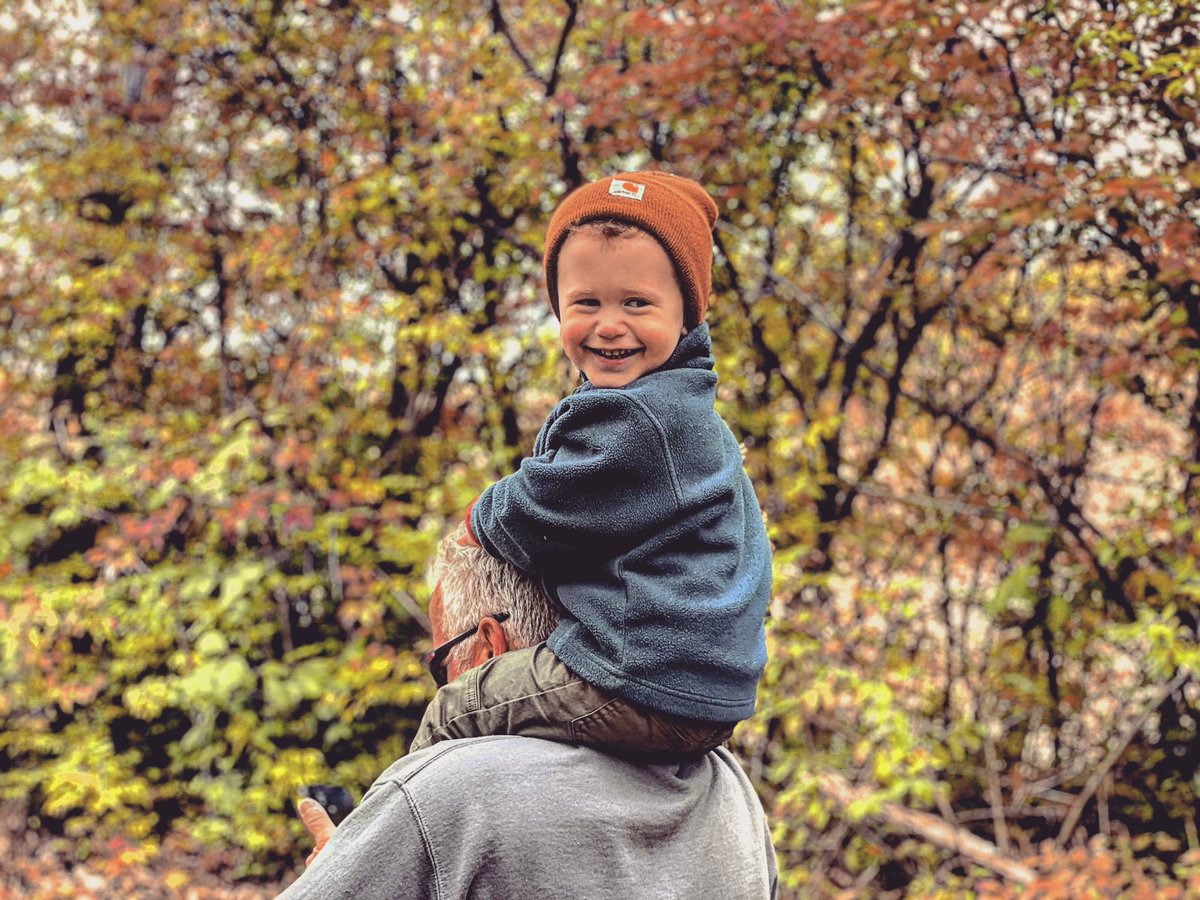 What a wonderful world... #sutterhayes #october #carhart #autumn #hiking #grandpasboy #thisistwo #leaves #fallseason #fallcolors