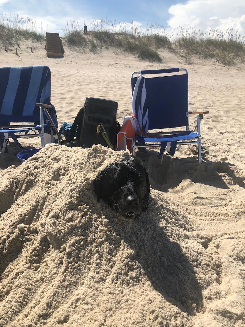 helenjmccall's tweet photo. My friend, Stephanie, is a finalist in Bald Head Island Limited Property Management’s Story Contest. Help me rally votes: https://t.co/LFqv24F8yD @bhinews https://t.co/g8ViitxkAS