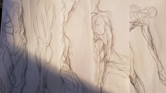 筋トレ六十三日目 