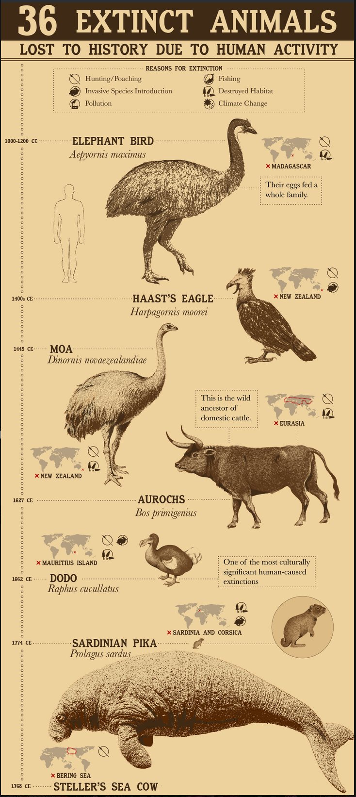 Extinct Animals 🦣🦤 on Twitter: Extinct Animals 🦣🦤 on Twitter: