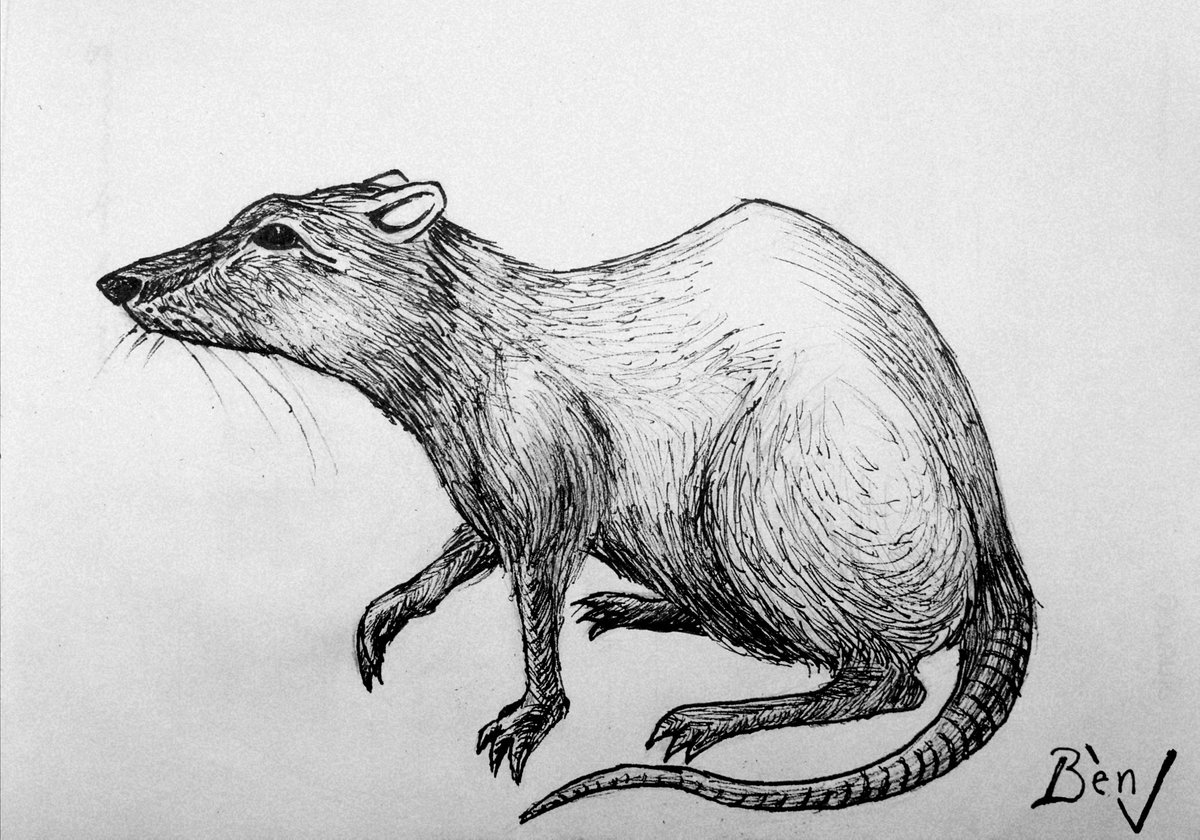 wallcus's tweet image. #inktober2020
#inktober2020day6