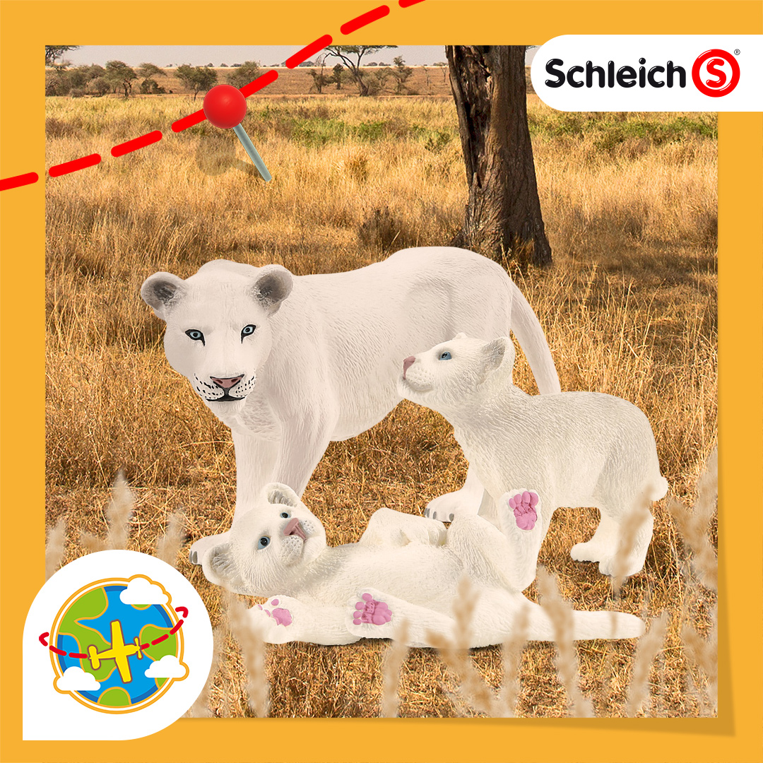 Schleich Japan K K ライオンの親子 10月14日新発売です 赤ちゃんライオンのピンクの肉球がかわいいよ シュライヒ ライオン ホワイトライオン おもちゃ フィギュア オモ写 新製品 Schleich Schleich Japan K K ライオンの親子 10月14日新発売です 赤ちゃんライオンのピンクの肉球がかわいいよ シュライヒ ライオン ホワイトライオン おもちゃ フィギュア オモ写 新製品 Schleich