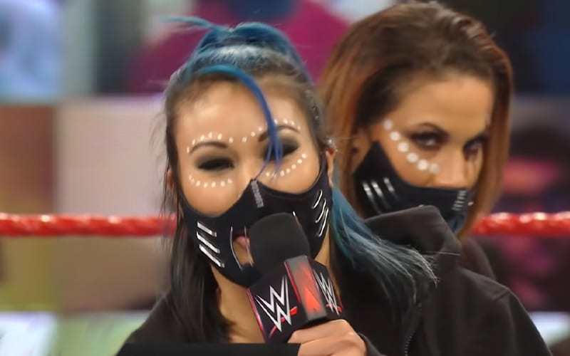 Lastly, let's focus in towards the two lead women in Retribution, in Recokning and Retaliation, both of whom appeared in this year's Royal Rumble back in January. And in moreso, the WWE Universe's involvement in their aim towards destroying WWE.