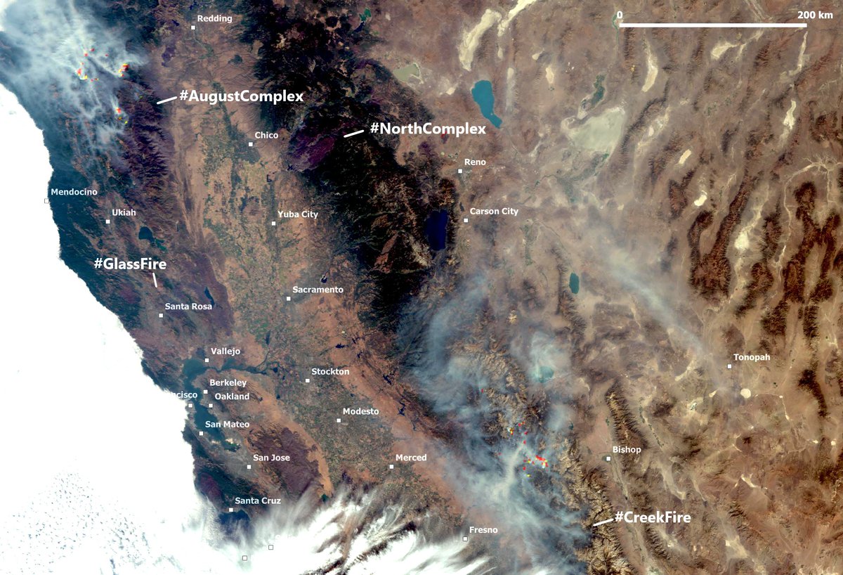 ❗️#CaliforniaFires: @CopernicusEU #Sentinel3 image(with FRP product) of Oct.6 shows the smoke mainly engulfing  areas of #AugustComplex on the North & #CreekFire on the South #California #GlassFire #ClimateChange #ClimateAction @ronlin @ai6yrham @cwiedinm @KyleIboshi @EUintheUS