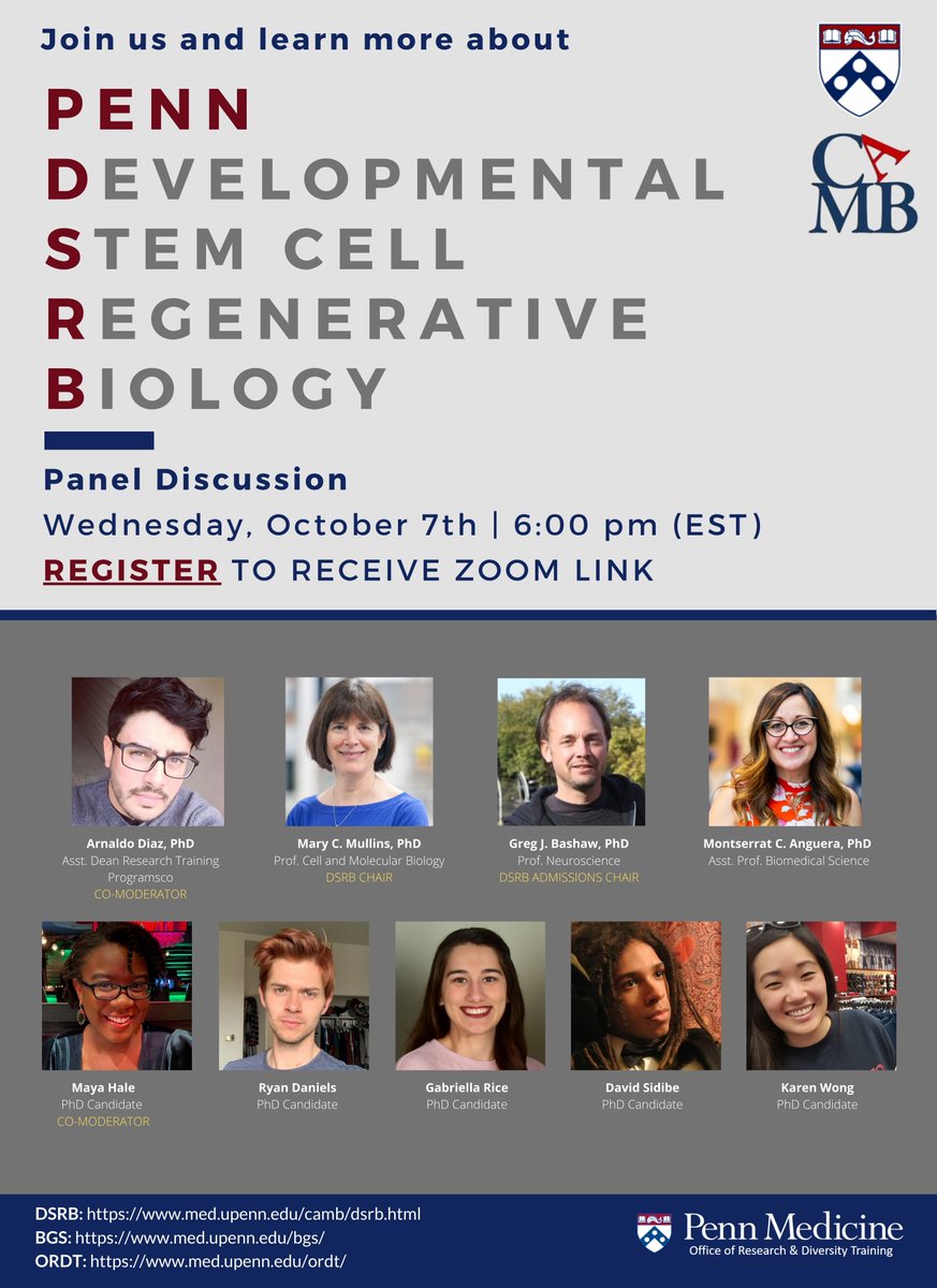 🚨 Happening tomorrow! Are you interested in learning about our #Developmental, #stemcell  &amp; #RegenerativeBiology program <a href="/CAMBUpenn/">CAMB Graduate Group</a> <a href="/pennbgs/">Penn BGS</a>? Join us tomorrow at 6:00 PM for a virtual panel discussion led by the faculty &amp; #PhD students. Register: docs.google.com/forms/d/e/1FAI…