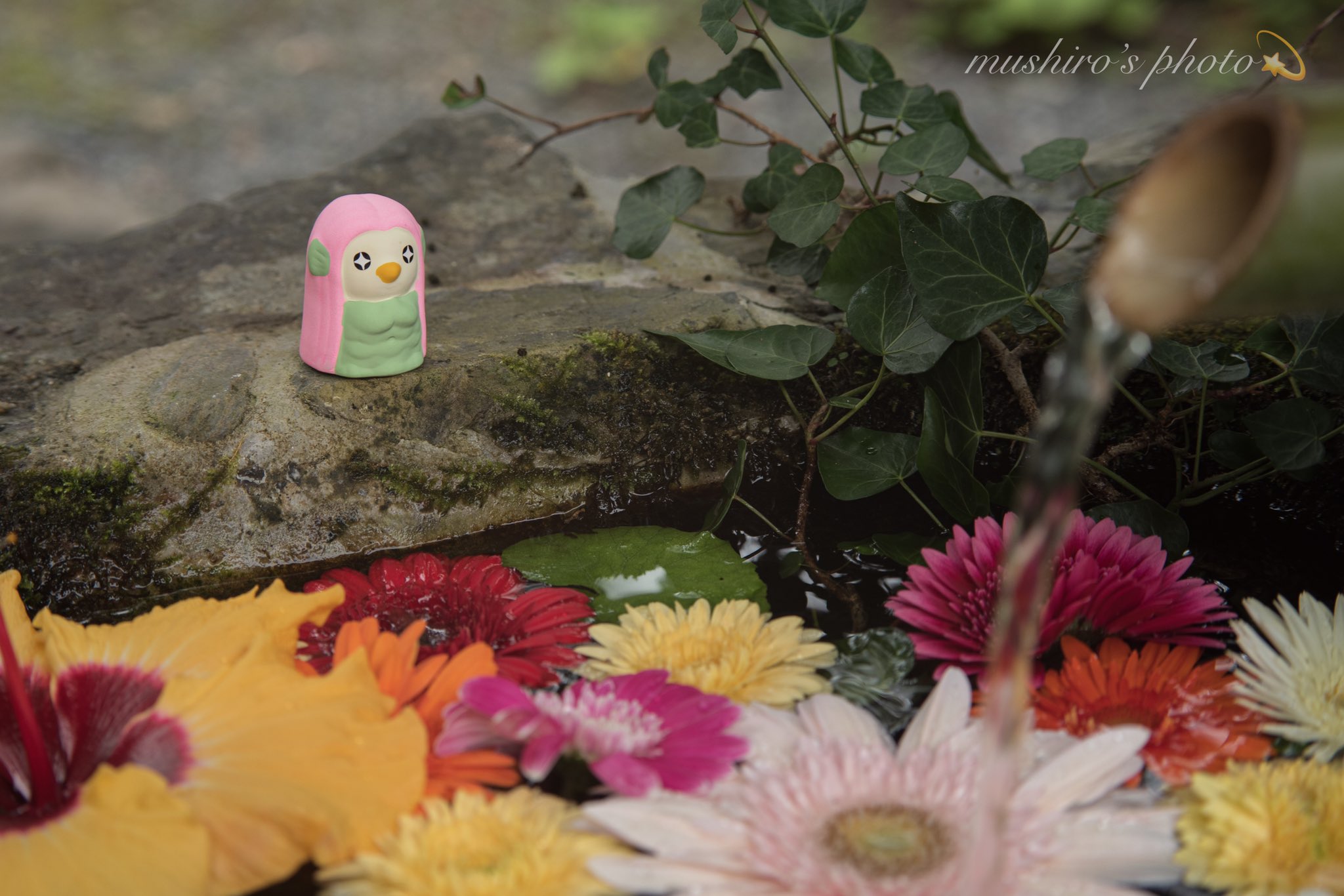 𝑀𝑢𝑠ℎ𝑖𝑟𝑜 A Twitter 久しぶりに花手水 アマビエさん おみくじ が可愛いのでお出かけの際はおすすめです 柳津虚空蔵尊 アマビエ 花手水