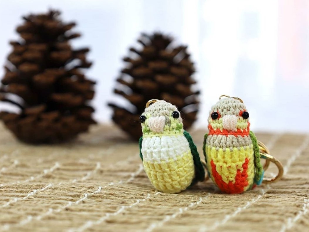 막내랑 비비
깜찌기 코뉴어들❤

#코뉴어 #앵무새 #뜨개 #parrot #앵무새키링 #주문제작