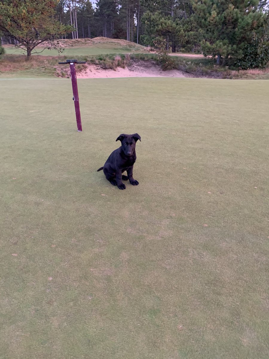 Patrick Bean tweet media