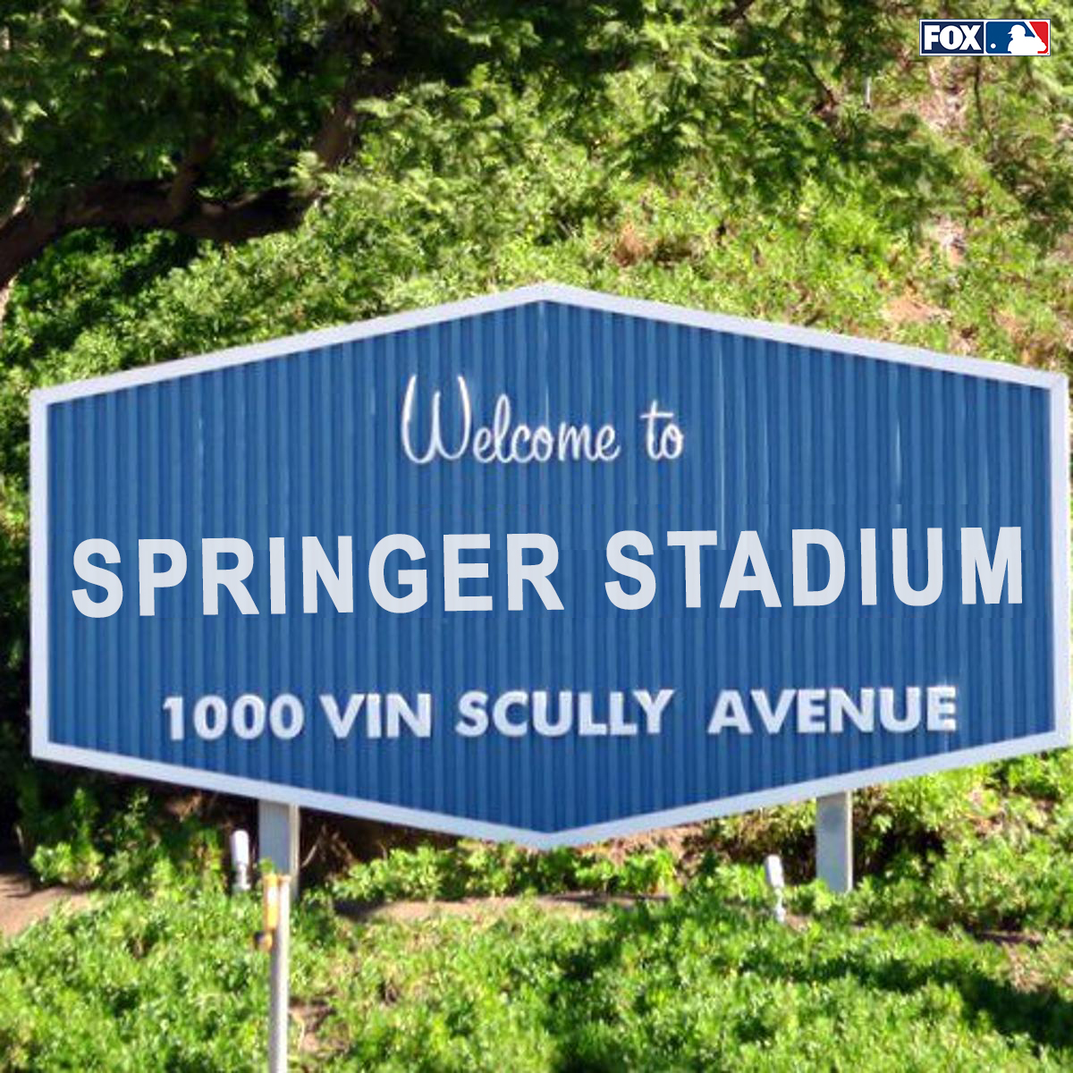 @MLBONFOX's photo on Springer