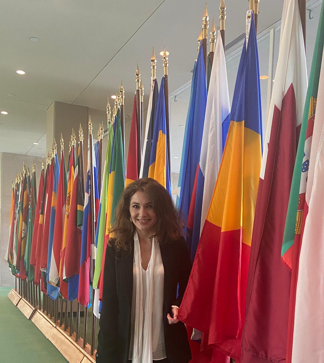 RomaniaUN_NY's tweet photo. First Committee (Disarmament and Int’l Security) held its #UNGA75 organizational meeting today. @RomaniaUN_NY congratulates all members of the Bureau on their election, including our colleague Corina Lefter who will serve as Vice-Chair of the #1C, on behalf of EEG https://t.co/cMJMBAvqlL