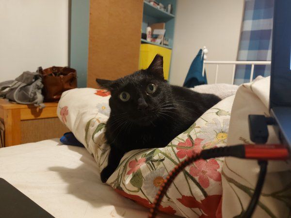 J.J. Green tweet media