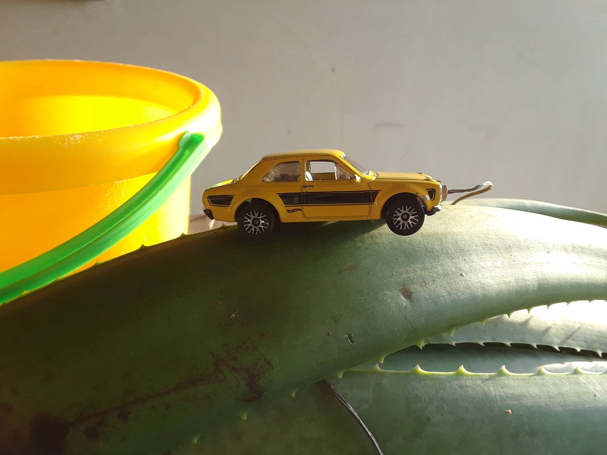 RastaHealth's tweet photo. Riding on #aloevera #fordescort #beachbucket https://t.co/fpSuVVTe62