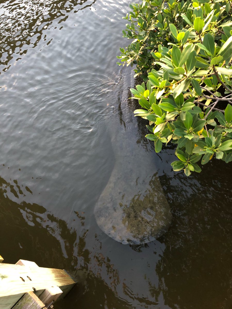 Haverhill Counselor tweet media